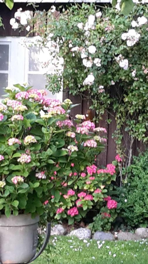 Schoene Ferienwohnung Im Alten Gasthaus In Stoltebuell المظهر الخارجي الصورة