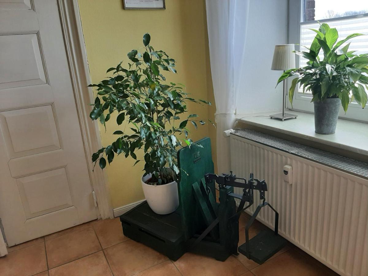 Schoene Ferienwohnung Im Alten Gasthaus In Stoltebuell المظهر الخارجي الصورة
